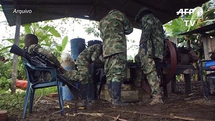 ELN anuncia cessar-fogo na Colômbia por coronavírus