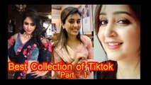 Best Collection of Tiktok Viral Videos Part 1 || Hindi Tiktok Videos
