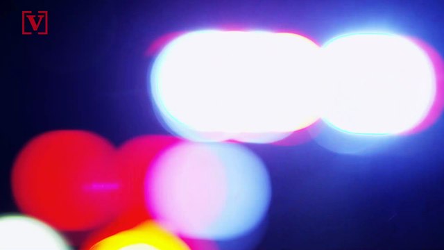 Van Gogh Painting Taken from Museum in the Netherlands, Amid Coronavirus Shutdown