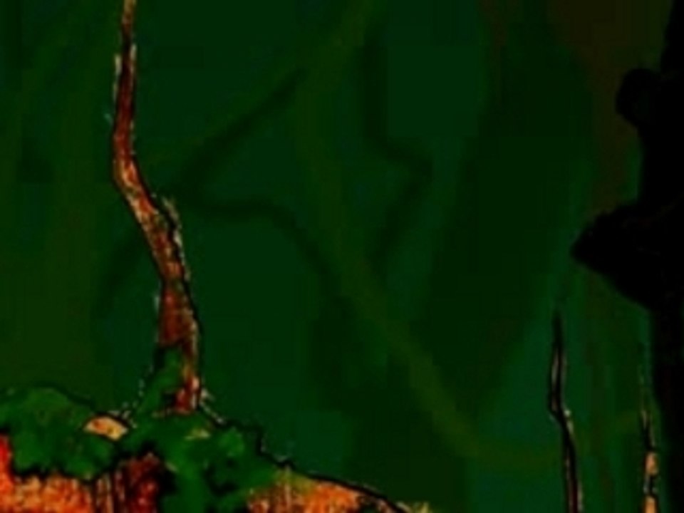 JuNgle