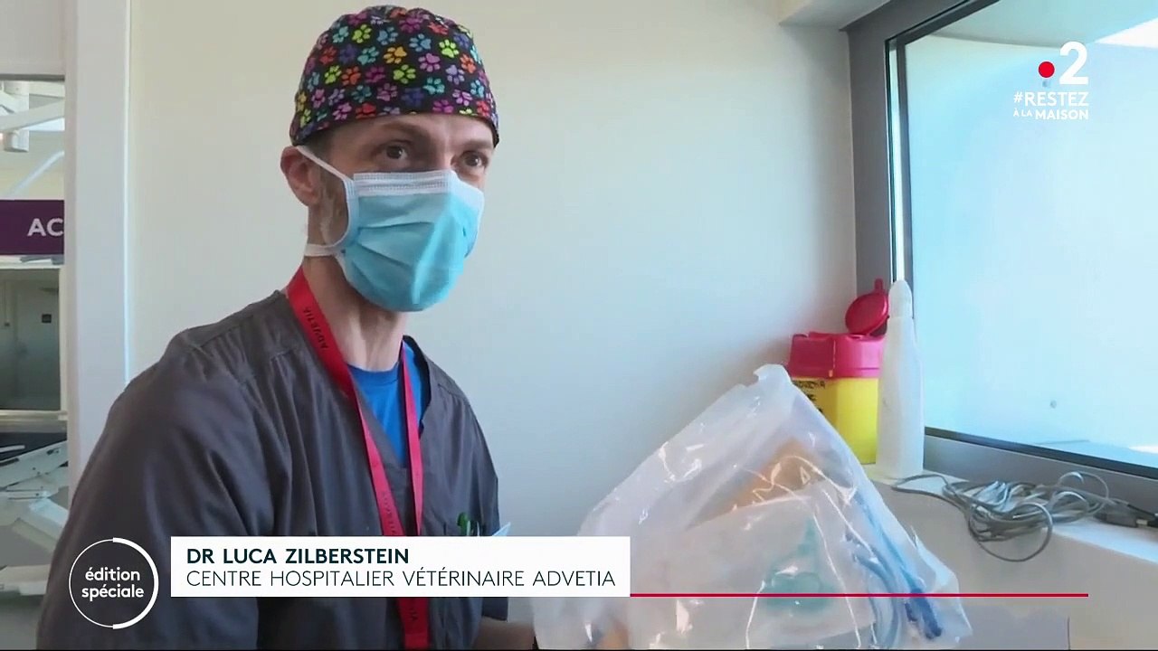 Coronavirus : les vétérinaires prêtent des respirateurs aux soignants