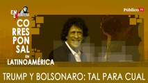 Pedro Brieger: Trump y Bolsonaro, tal para cual - En la Frontera, 30 de marzo de 2020