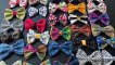 12-Year-Old Boy Makes Bow-Ties To Help Shelter Animals To Find Home