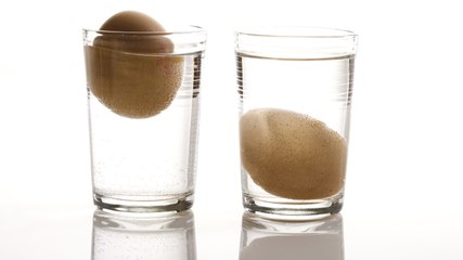 How To Tell If Your Eggs Are Bad