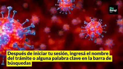 Seguí estos pasos para obtener el nuevo certificado de circulación implementado por el gobierno