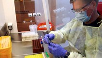 Fransa'nın ardından ABD de sıtma ilaçlarının koronavirüs tedavisinde kullanımına onay verdi
