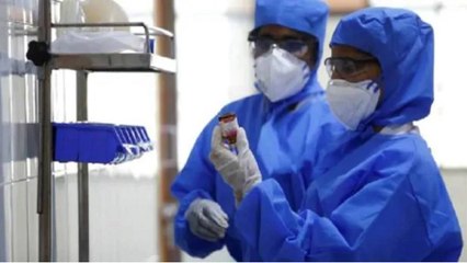 Covid-19 test: Know the procedure of how they are performed