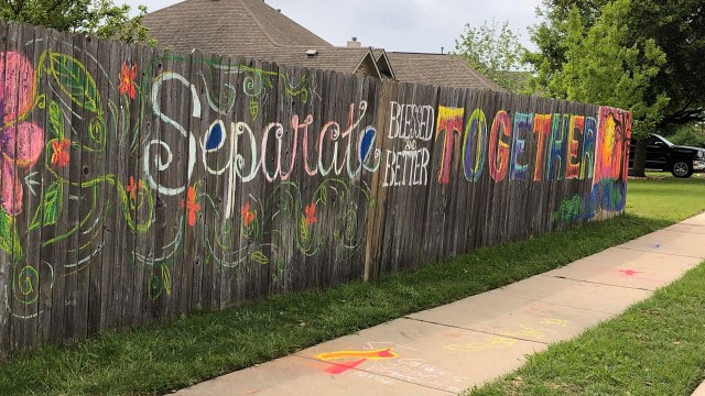 Texas Art Teacher and Her Kids Transform Backyard Fence into Inspiring Mural