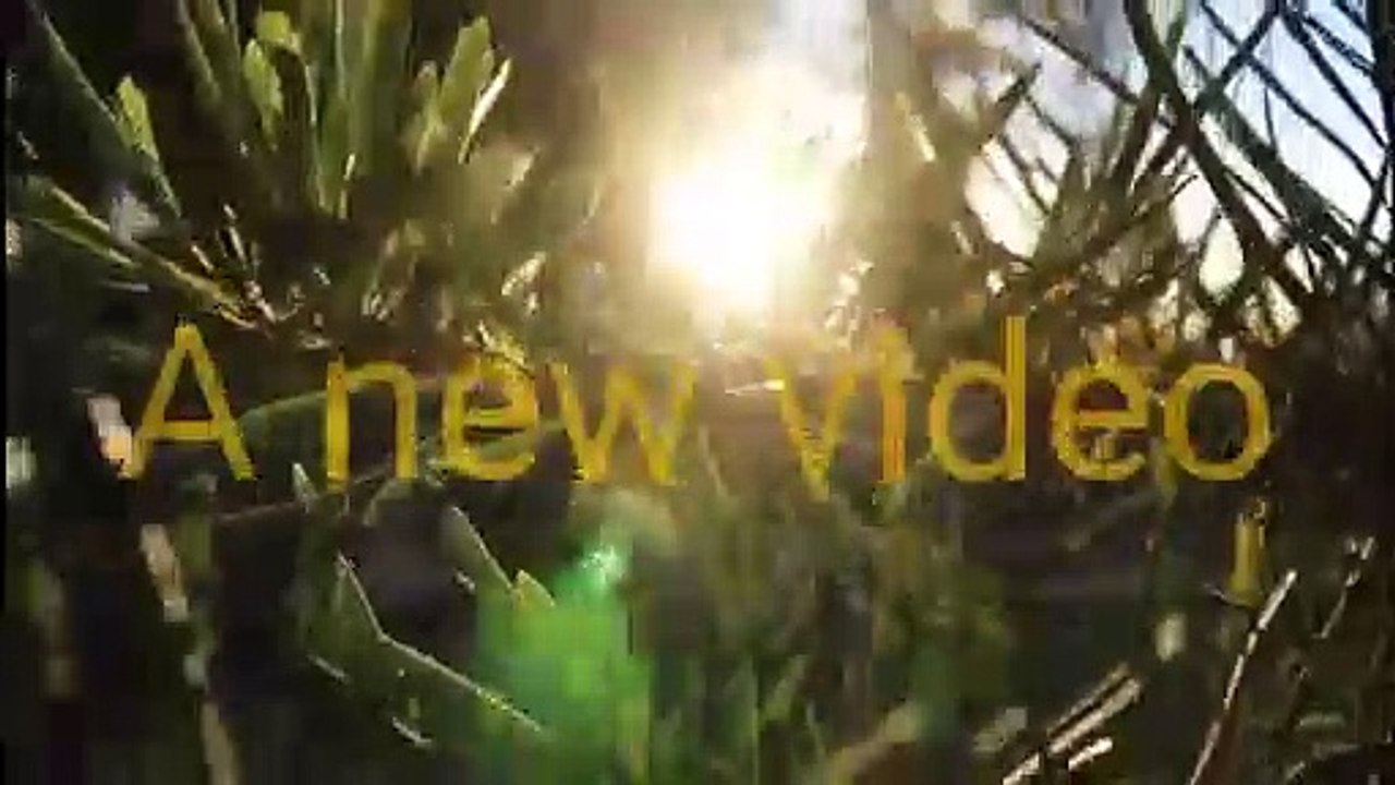 ये हैं दुनिया की सबसे रहस्यमई फिल्म।। Mystery movies Hollywood