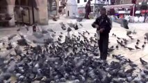 Vatandaş evden çıkamayınca güvercinler aç kaldı