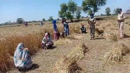 मथुराः पुलिस ने फसल काटते किसानों को कहा सोशल डिस्टेंस का करें पालन
