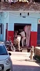 मुज़फ्फरनगर: लॉकडाउन का किया उल्लंघन तो पुलिस ने बना दी हजामत, देखे वीडियो