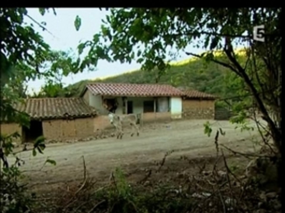 Les Derniers Jours De CHE GUEVARA 3sur4