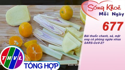 Bài thuốc chanh, sả, mật ong có phòng ngừa virus SARS-CoV-2? | Sống khỏe mỗi ngày - Kỳ 677
