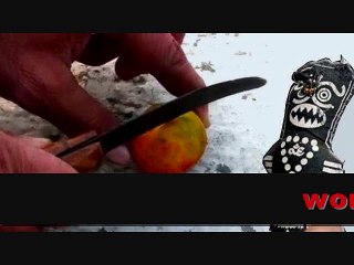 America +91-8094945424 Love Problem Solution BABA JI