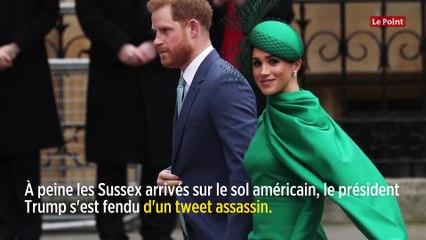 Meghan Markle : pourquoi Donald Trump ne lui fera pas de cadeaux