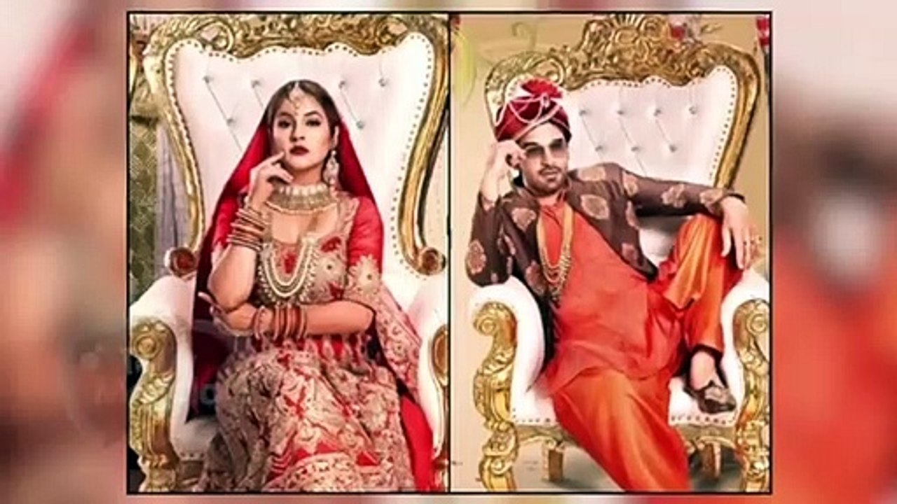 Paras Chhabra ACCUSES Shehnaz Gill Bigg Boss 13 Watch To Know