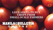 LGUs asked to buy crops from small-scale farmers