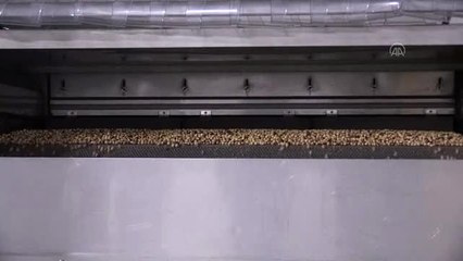 Fındık üreticisine 11 yılda 8,5 milyar lira destek