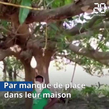 Coronavirus: Des indiens contraints de choisir les arbres pour se confiner