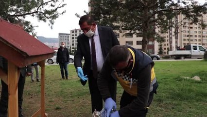 Kastamonu Belediyesi sokak hayvanlarını unutmadı