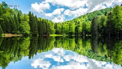 Düzce Valiliği hazırladığı video ile vatandaşları uyardı Açıklaması