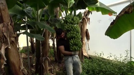 "Gerekirse ürünlerimizi devlete bağışlayabiliriz" Korona'ya inat Türk çiftçisi üretmeye devam ediyor