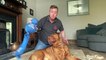 Self-isolation games for dogs with Sunderland dog trainer Dom Hodgson