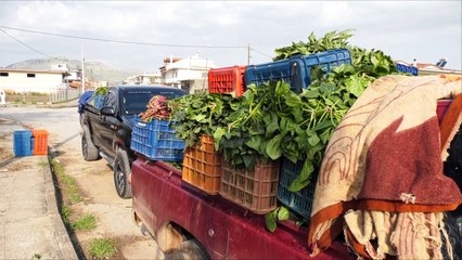 Πετούν φρέσκα λαχανικά στα σκουπίδια. Διαμαρτυρία παραγωγών στον Ορχομενό.
