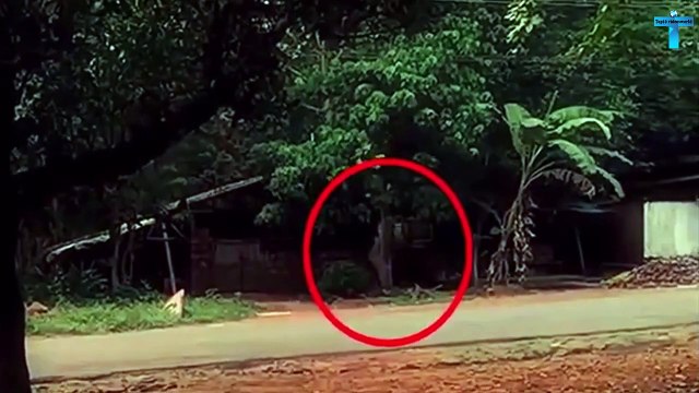 Top 10 Videos That Are Worst Nightmares For You