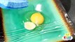 Egg Drop Project Ideas Science Experiments for Kids