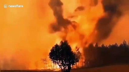 Huge forest fire kills 18 rescuers in southern China