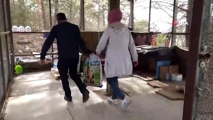 - Hitit, koruma altına aldığı köpekleri unutmadı