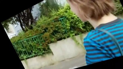 Gérard Manset - Pas mal de journées sont passées