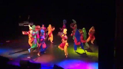 Beautiful Punjabi Bhangra Dance In Pakistan