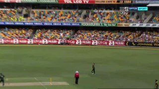 Pakistani Bowler Muhammad Aamir's fiery spell to Australia - Cricket We Love You