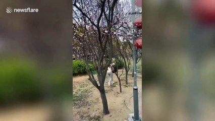 Girl jumps out of coach to escape being quarantined after flying back to China from Germany