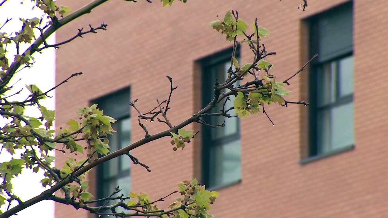 Alcalde de Leganés reclama más personal sanitario para las residencias