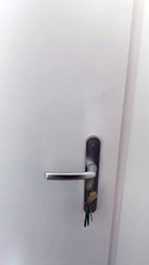 Bruit coursive 30 mars 2020