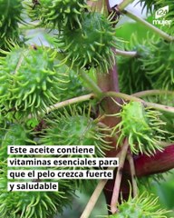 Recetas naturales para hacer crecer tus cejas