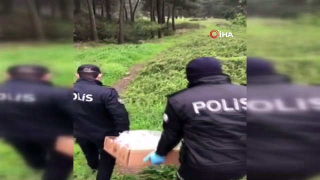 Polis ekipleri, sokak hayvanlarını elleriyle besledi