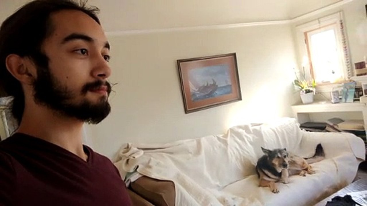 Tail Wagging Controlled by a Look