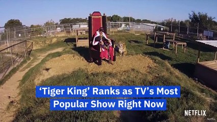 ‘Tiger King’ Ranks as TV’s Most Popular Show Right Now