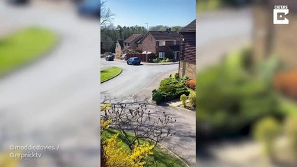 Homem disfarça-se de arbusto para escapar à quarentena