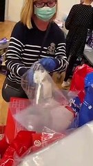 Look inside Eastbourne emergency food  distribution hub