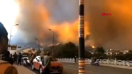 Çin'de orman yangını 19 ölü