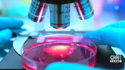 Kalkınma ajansları devrede