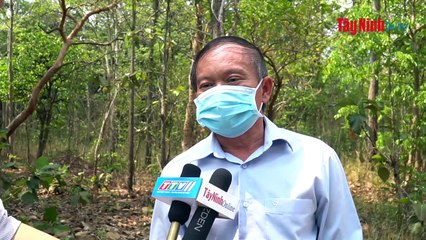 Chủ động phòng, chống cháy rừng trong mùa khô