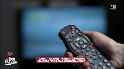 France Télévisions met en demeure le groupe Canal et demande une "réparation financière"