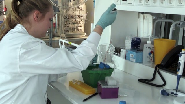 Vacuna contra el coronavirus tardará al menos un año, según agencias